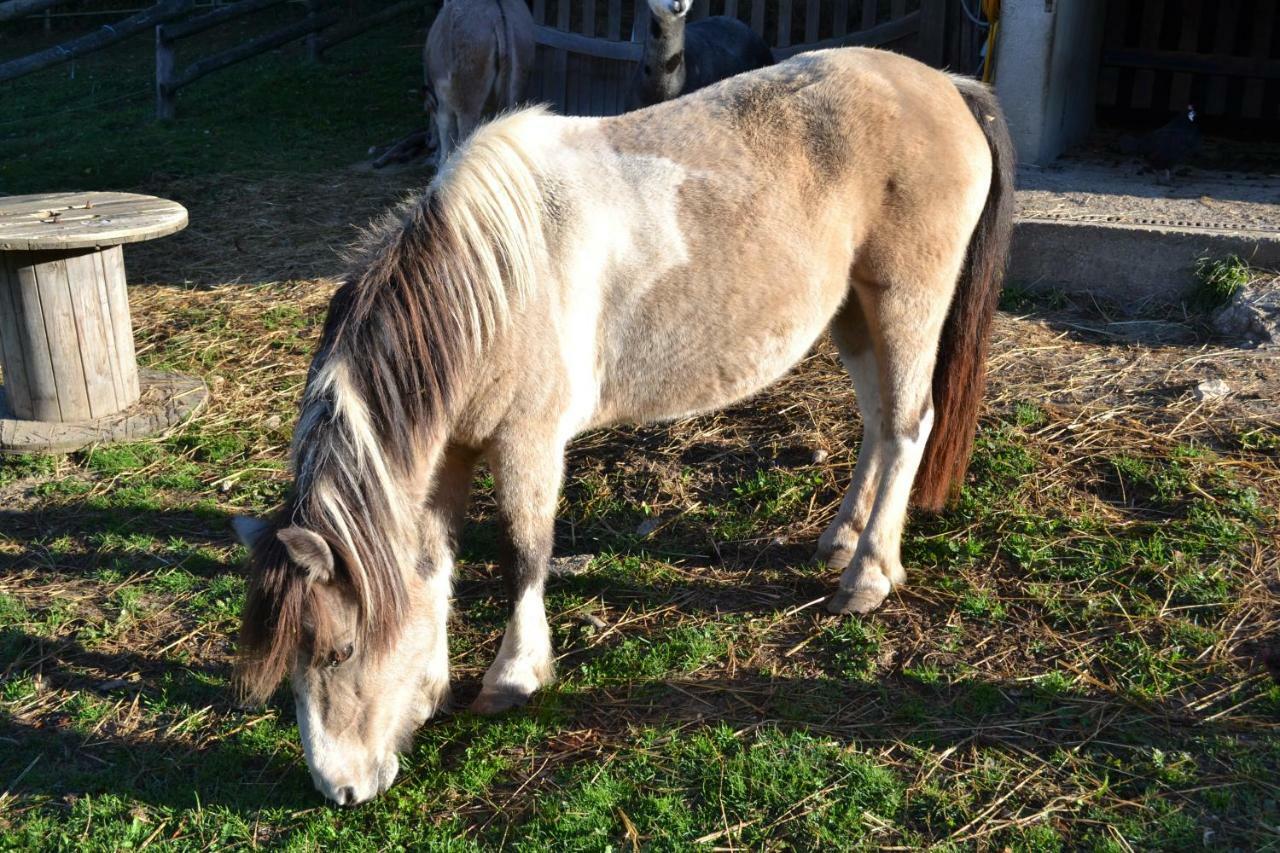 Roulotte De Charme "Le Paradis Des Animaux" 2 A 4 Personnes Coublevie Zewnętrze zdjęcie